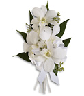 Dendrobian Orchid Corsage